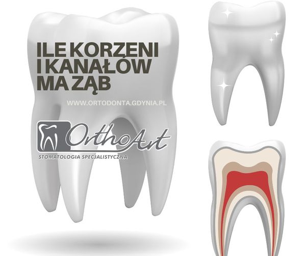 Ortodoncja Gdynia Trójmiasto